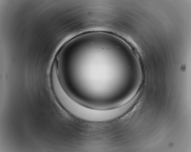 X0000102831181200808181317
