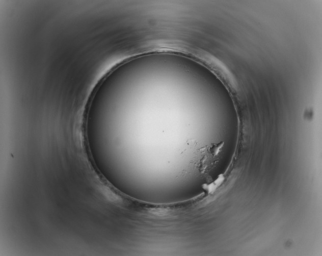 X0000102831182200808181317