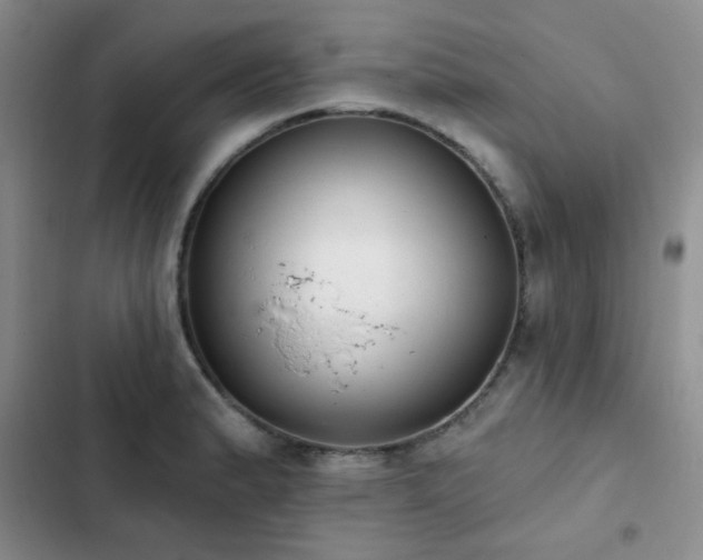 X0000102831183200808181317