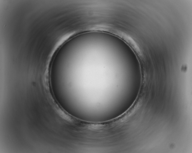 X0000102831184200808181317