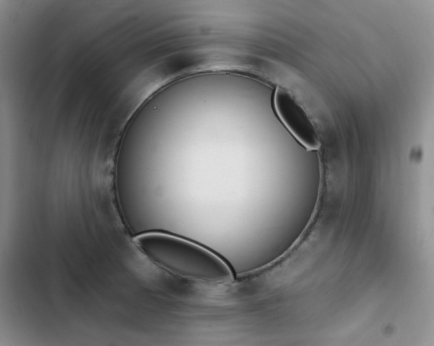 X0000102831185200808181317