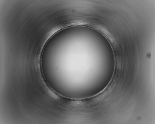 X0000102831186200808181317