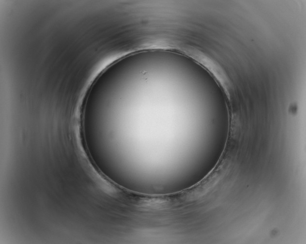 X0000102831187200808181317