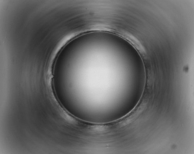 X0000102831188200808181317