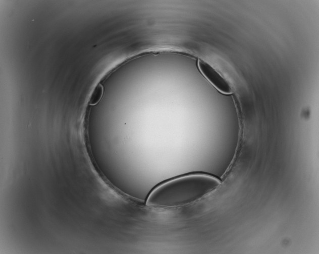 X0000102831189200808181317