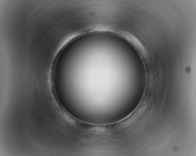 X0000102831190200808181317