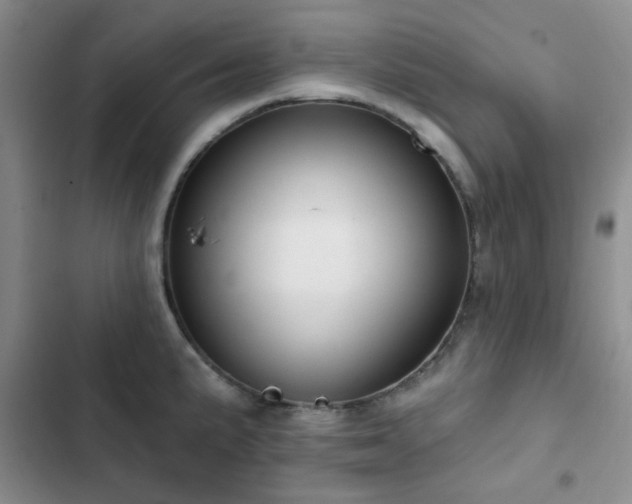X0000102831191200808181317
