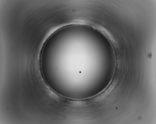 X0000102831192200808181317