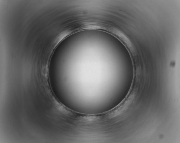 X0000102831193200808181317