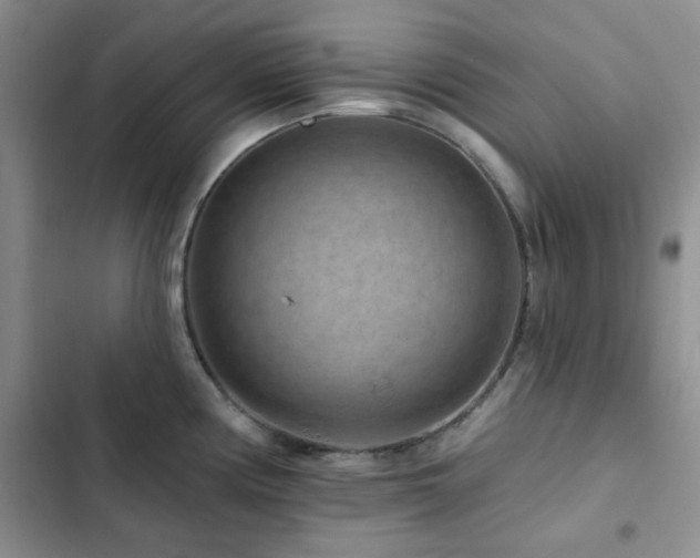 X0000102831194200808181317