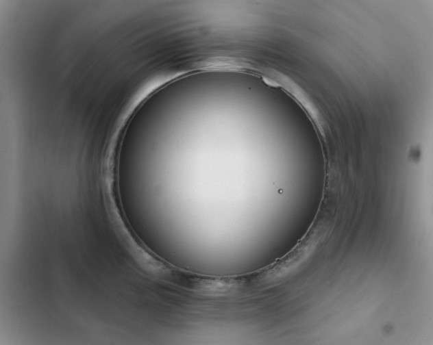 X0000102831195200808181317