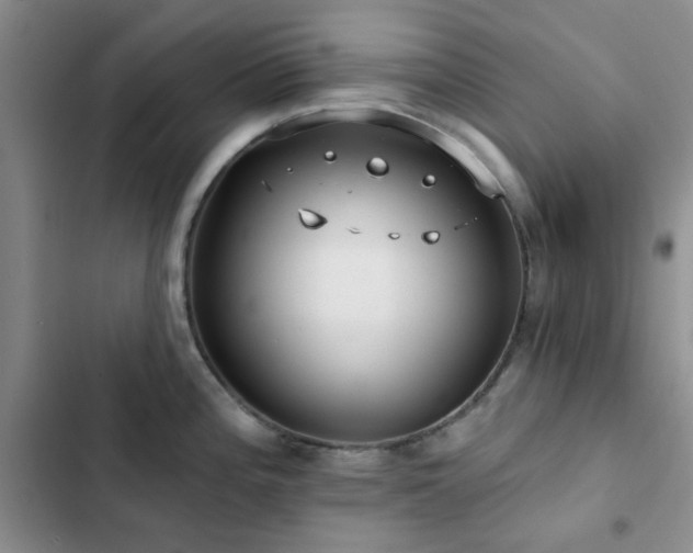 X0000102831196200808181317