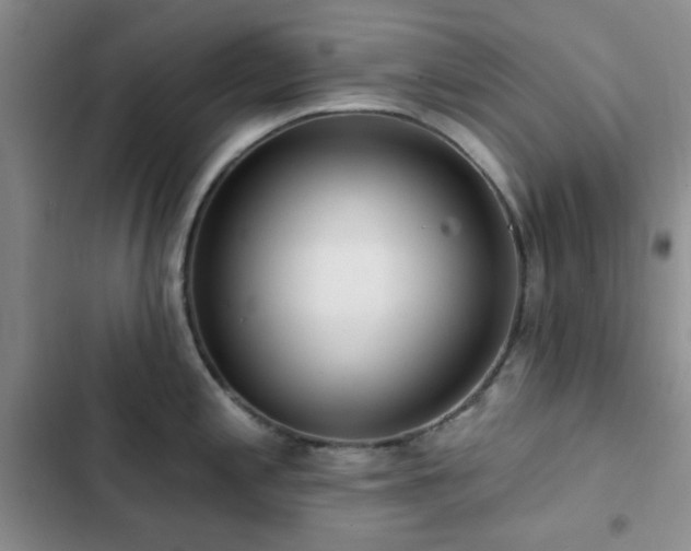 X0000102831197200808181317