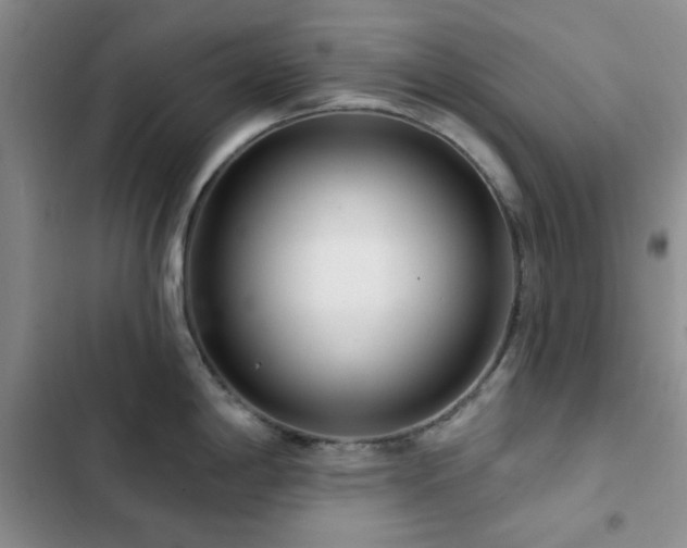 X0000102831198200808181317