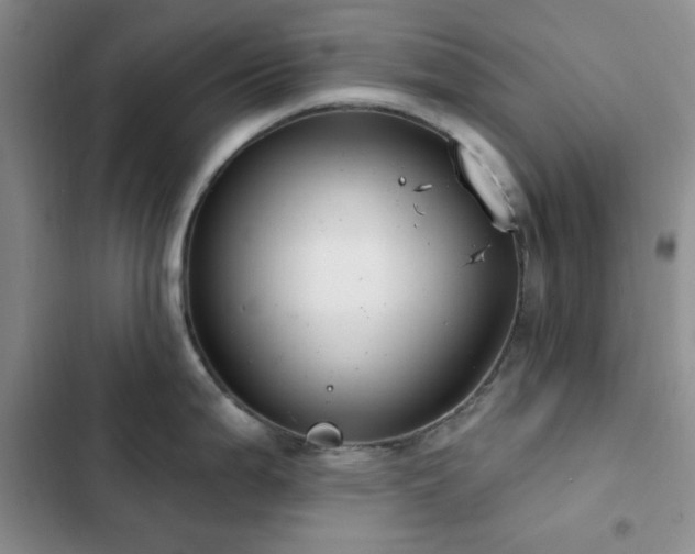 X0000102831199200808181316
