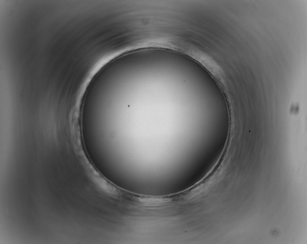 X0000102831200200808181316