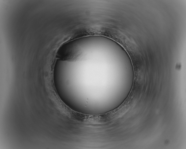 X0000102831201200808181316