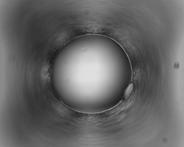 X0000102831202200808181316