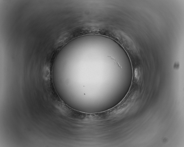 X0000102831203200808181316