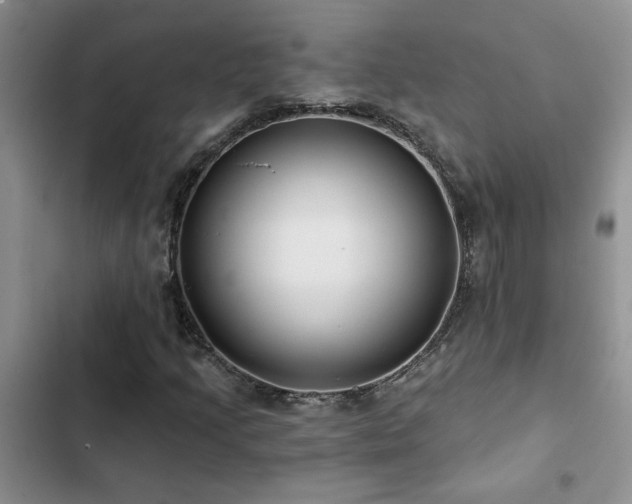 X0000102831205200808181316