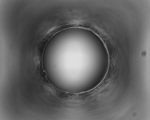 X0000102831206200808181316