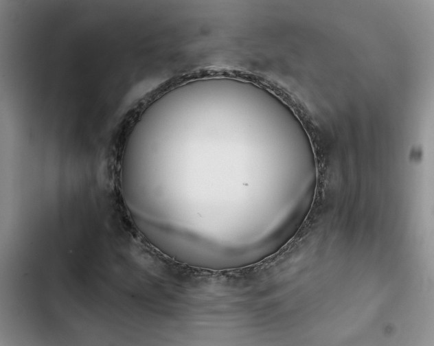 X0000102831207200808181316