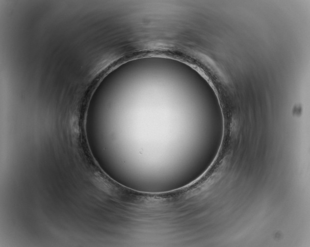 X0000102831209200808181316
