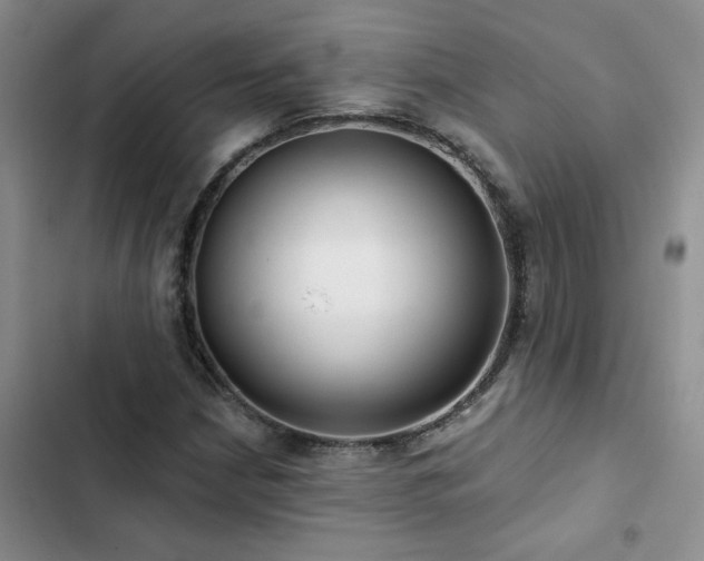 X0000102831210200808181316