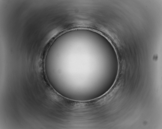 X0000102831211200808181316