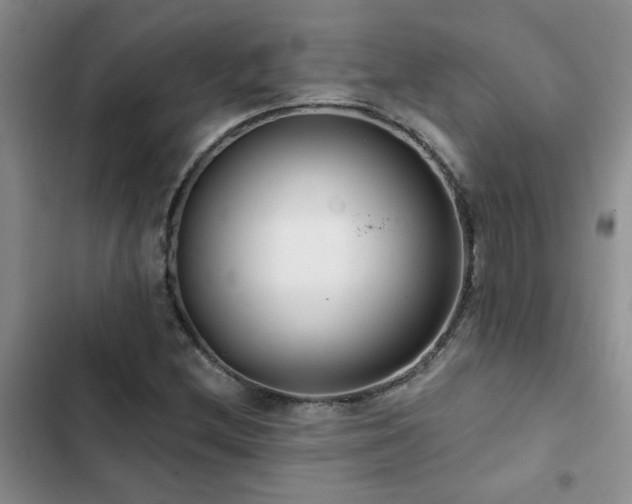 X0000102831212200808181316