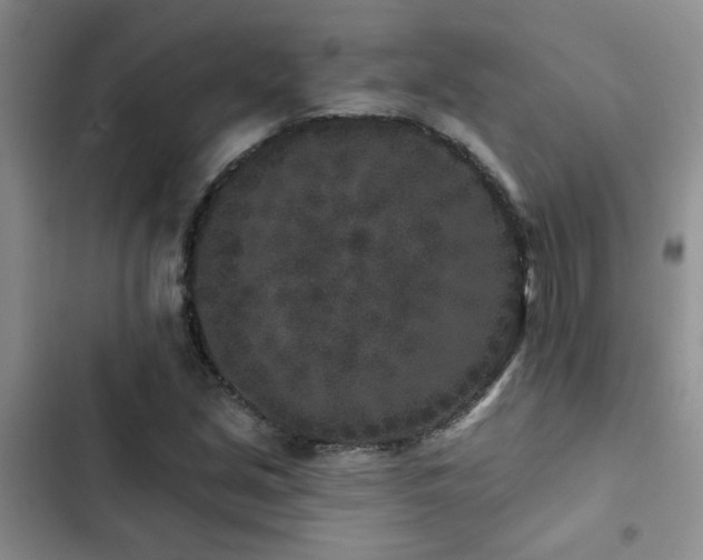 X0000102831213200808181316