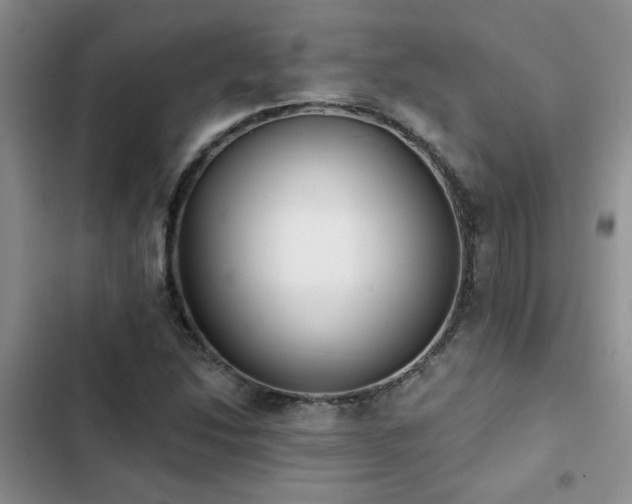 X0000102831214200808181316