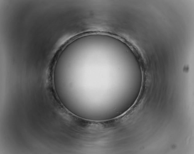 X0000102831215200808181316