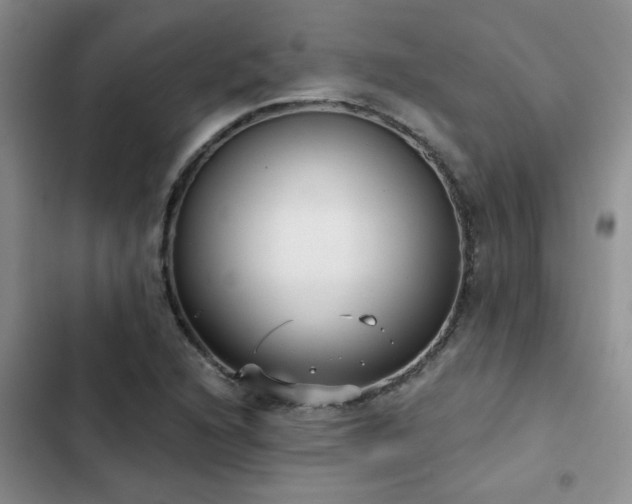 X0000102831216200808181316