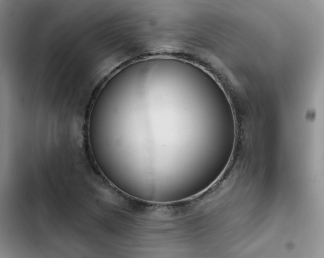 X0000102831217200808181316