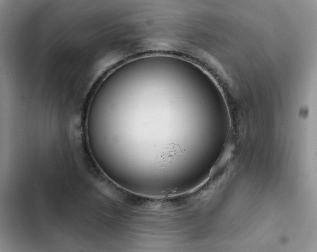 X0000102831218200808181316