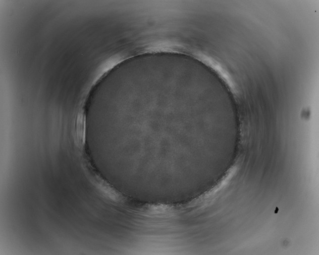 X0000102831219200808181316