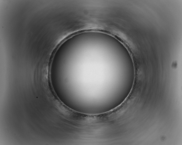 X0000102831220200808181316