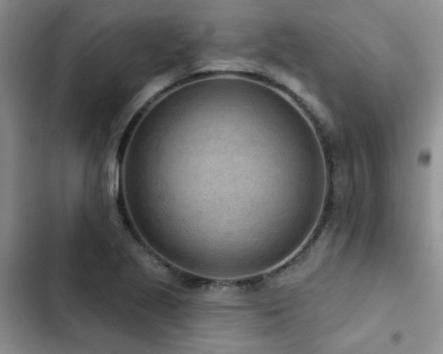 X0000102831221200808181316