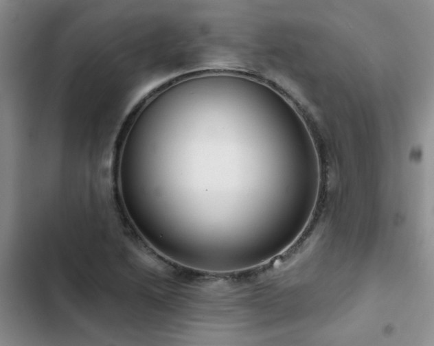 X0000102831222200808181316