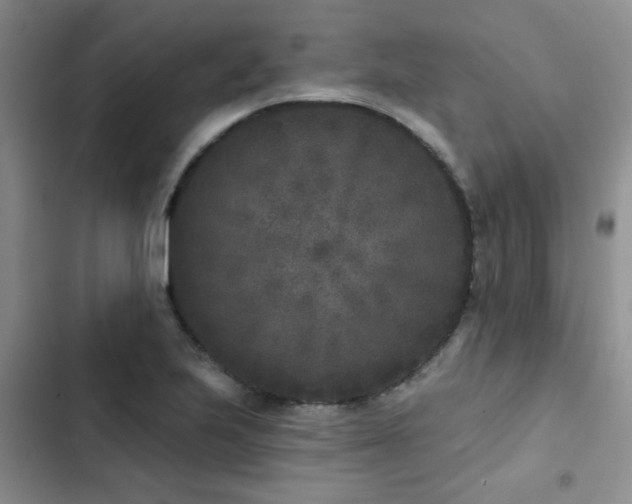 X0000102831223200808181316