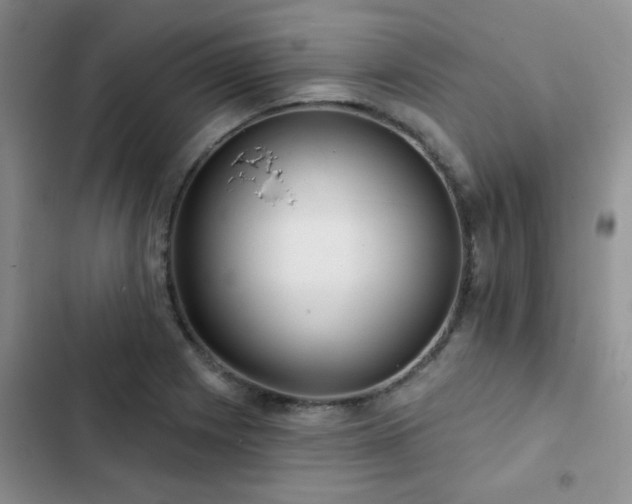 X0000102831225200808181316