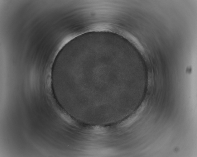 X0000102831226200808181316