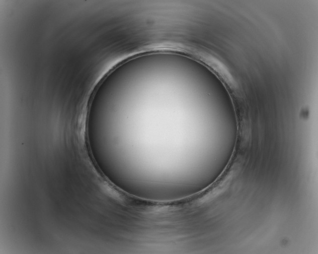 X0000102831228200808181316