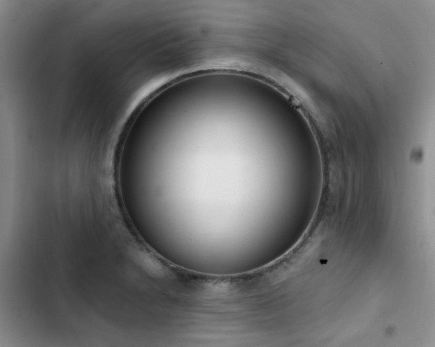 X0000102831230200808181316