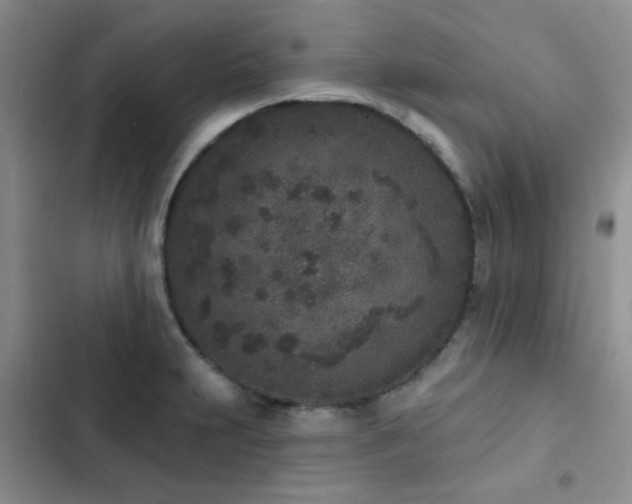 X0000102831231200808181316