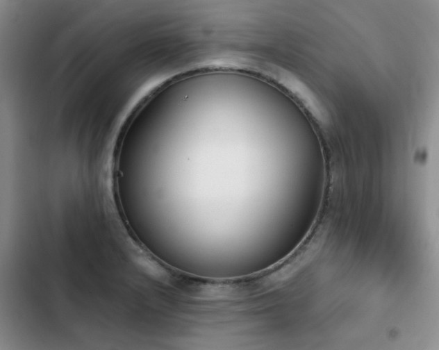 X0000102831232200808181316