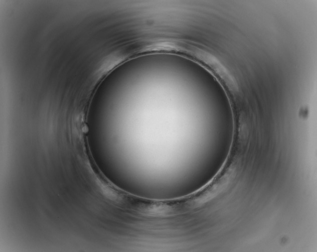 X0000102831233200808181316