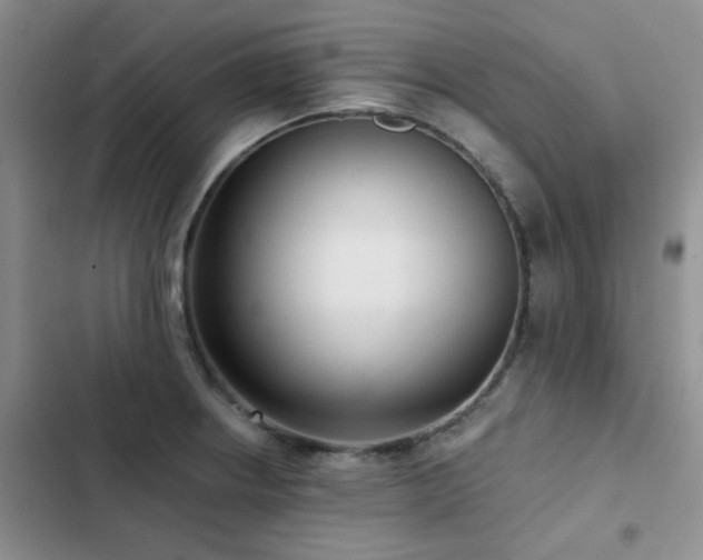 X0000102831234200808181316