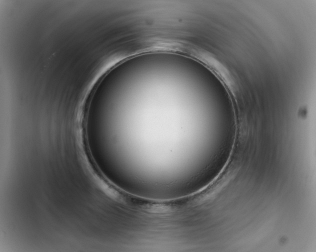 X0000102831235200808181316